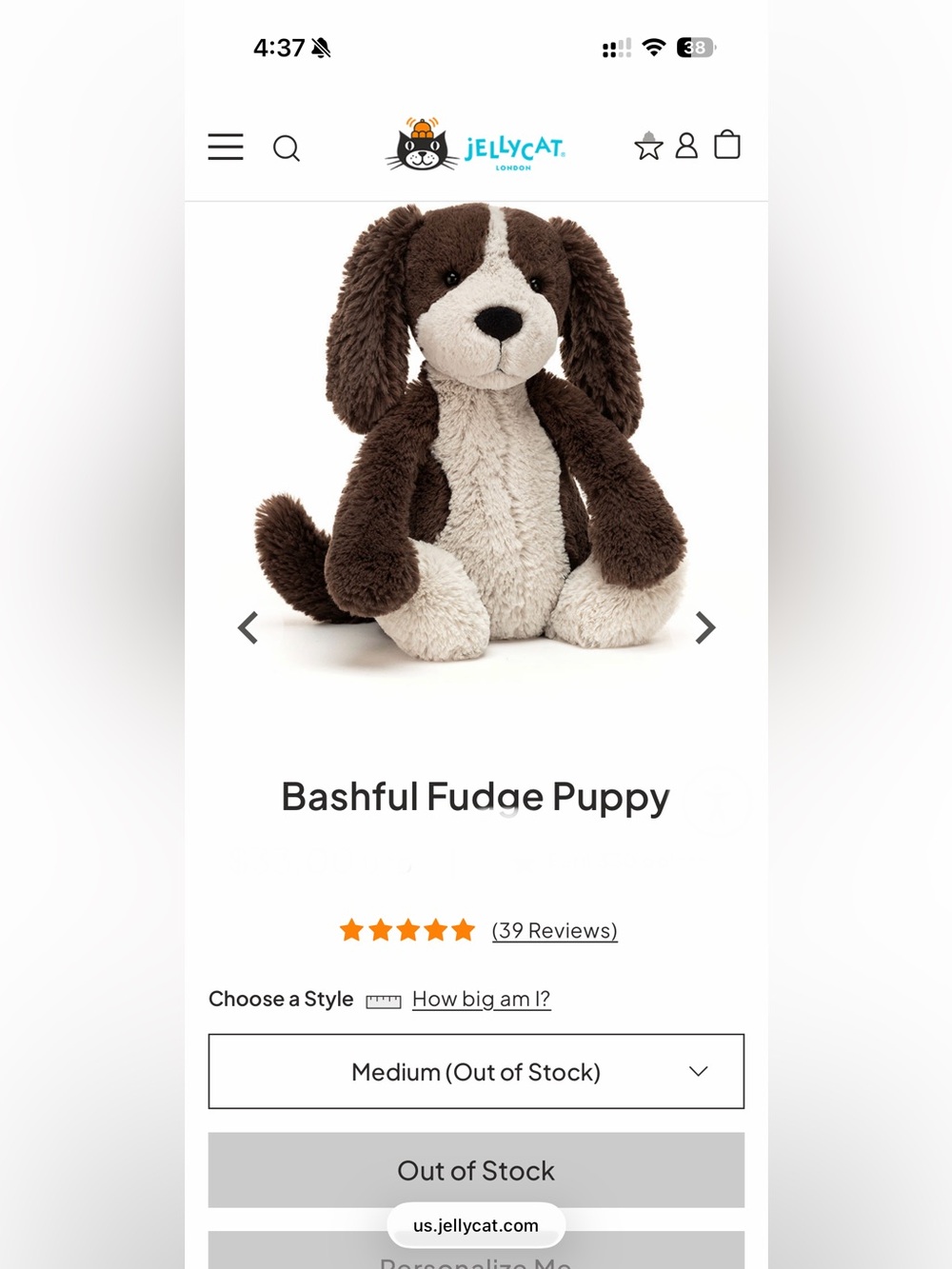 Bashful Fudge Puppy